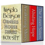 Genesis House Series boxed set design